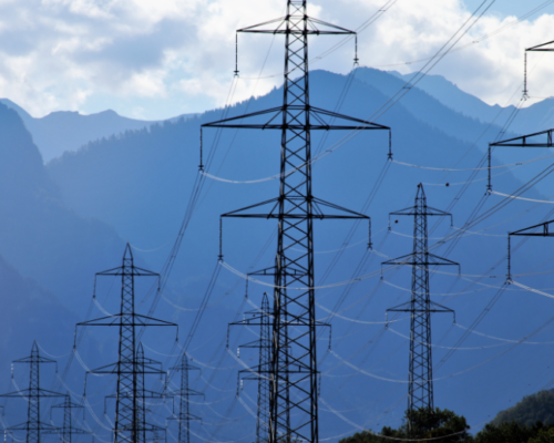 Ley de Protección Tarifaria Eléctrica